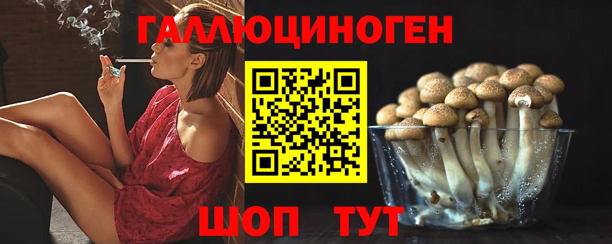 Галлюциногенные грибы Psilocybe  Псилоцибиновые грибы Psilocybine cubensis  Ковров  Вход с VPN 